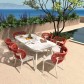 BP-3343-LT+BP-3343-C (BBQ DINING SET)